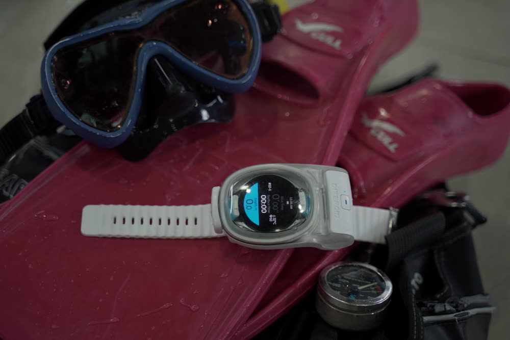 Watch Dive 구성
